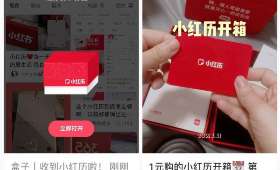 穿越数字浪潮，解锁创业新篇章—XX创业平台形象化故事